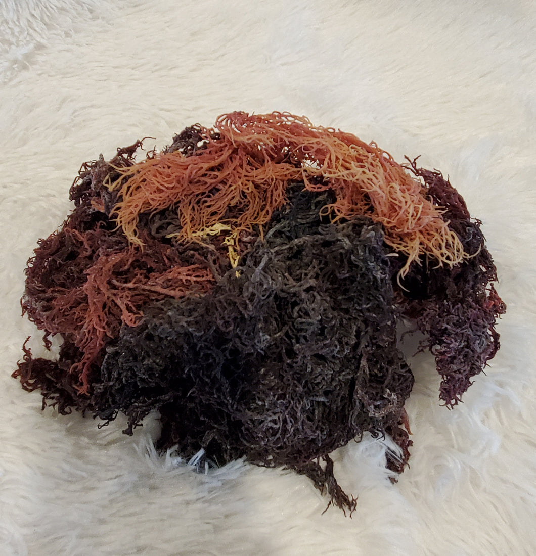 Purple Organic Raw Sea Moss